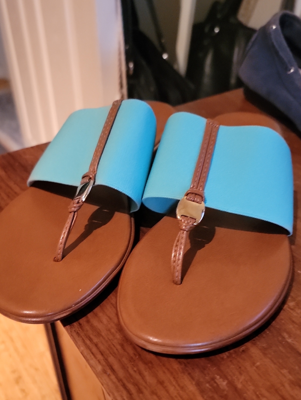 Turquoise Wide-Band Brown Thong Sandals